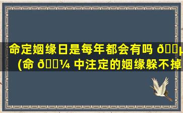 命定姻缘日是每年都会有吗 🌵 (命 🐼 中注定的姻缘躲不掉 但需要时间)